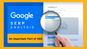 Search Engine Result Pages (SERP