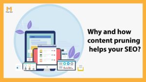Content Pruning: What It Is & How to Use It for SEO