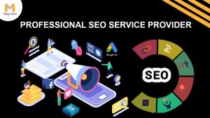 SEO services provider